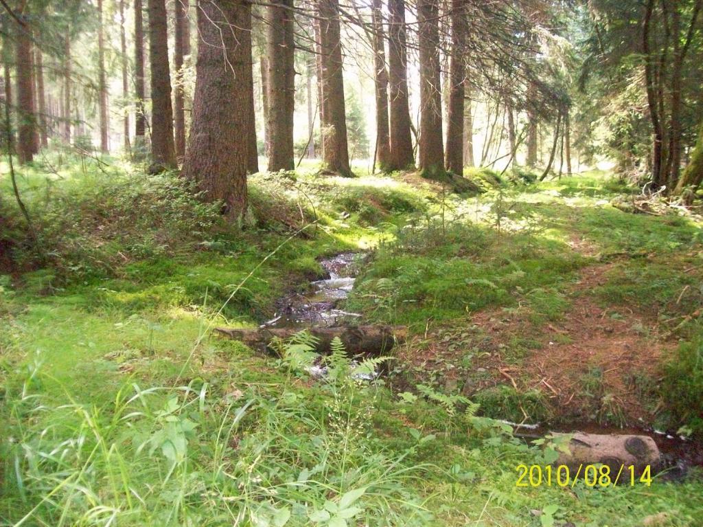 Hotel Burghof Oberweißbach Rum bild